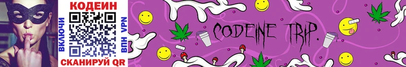 Купить закладки  Чистополь  Кодеиновый сироп Lean Purple Drank 
