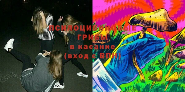 не бодяженный Козловка
