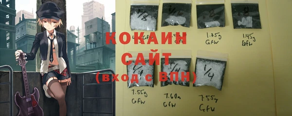 стафф Кодинск