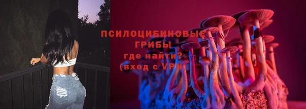 прущий лед Козельск