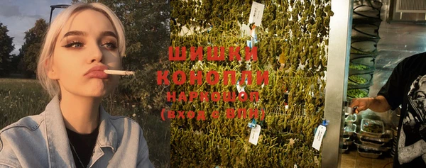 стафф Кодинск