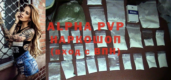 стафф Кодинск