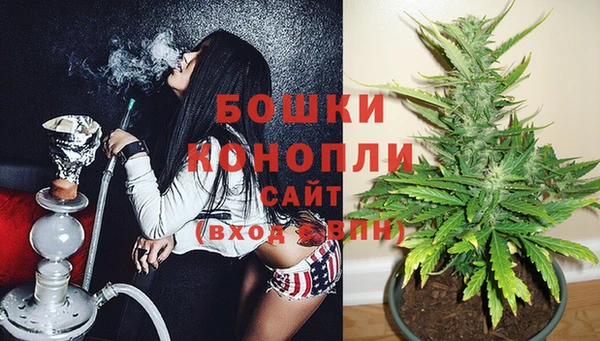 стафф Кодинск