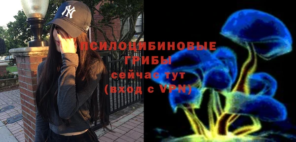 стафф Кодинск