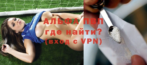 стафф Кодинск